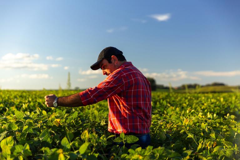 pole_soi_farmer_mobile